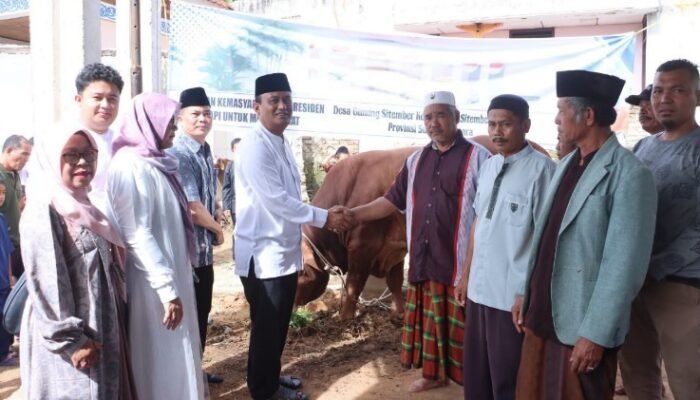 wabup dairi serahkan sapi kurban bantuan presiden di gunung sitember