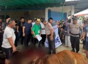 kapolres nias selatan serahkan 8 hewan kurban untuk masjid dan ponpes