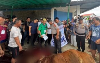 kapolres nias selatan serahkan 8 hewan kurban untuk masjid dan ponpes