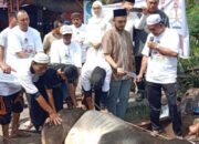 gema takbir berkumandang bersahut-sahutan di kawasan jalan surabaya, kelurahan proklamasi, kecamatan siantar barat, kota pematangsiantar, rabu (27/5/2026) pada momen idul adha dan penyembelihan hewan kurban di kantor keluarga besar siantar bersatu (kbsb).