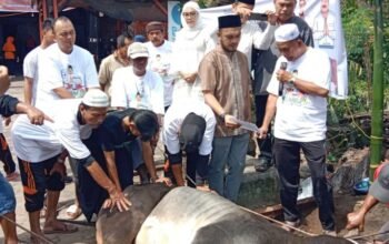 gema takbir berkumandang bersahut-sahutan di kawasan jalan surabaya, kelurahan proklamasi, kecamatan siantar barat, kota pematangsiantar, rabu (27/5/2026) pada momen idul adha dan penyembelihan hewan kurban di kantor keluarga besar siantar bersatu (kbsb).