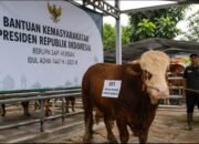 polemik kurban presiden gunakan apbn jadi sorotan publik