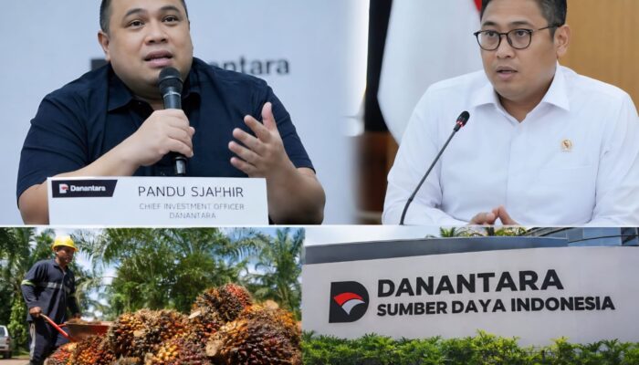 danantara tegaskan orientasi bisnis ekspor cpo, pemerintah klaim ekonomi mulai menguat
