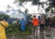 dampak angin kencang di siantar, pohon tumbang menimpa warga dan sepeda motor
