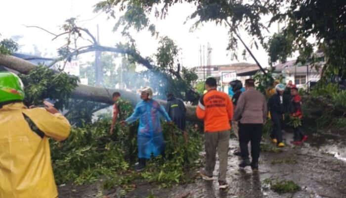 dampak angin kencang di siantar, pohon tumbang menimpa warga dan sepeda motor