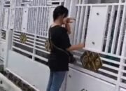 kft, ibu dari seorang bayi, adukan ibu kandungnya sendiri (nenek dari bayinya), kakak kandungnya (tante dari bayinya), dan abang iparnya (om dari bayinya) ke polres pematangsiantar, senin (4/5/2026).