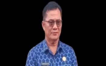 pemerintah kabupaten nias selatan terus mendorong penguatan ekonomi masyarakat melalui pembangunan fasilitas publik yang mendukung aktivitas perdagangan rakyat.