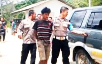 berkat partisipasi warga, satuan reserse kriminal (satreskrim) polres tapanuli tengah (tapteng) ungkap kasus dugaan cabul terhadap bocah 8 tahun dan pencurian di kecamatan badiri, tapteng, dengan mengamankan tersangka ws.