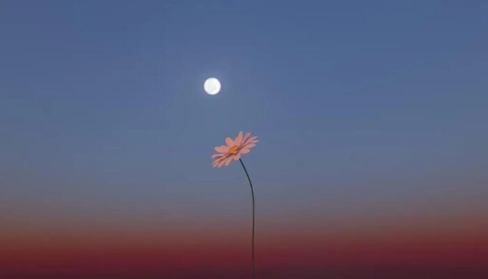 fenomena flower moon 1 mei 2026: jadwal, cara melihat, dan 7 fakta ilmiahnya