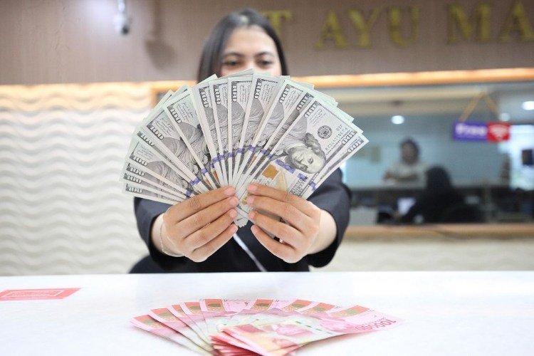bi pangkas batas beli dolar jadi usd50 ribu, siap diperketat lagi ke usd25 ribu