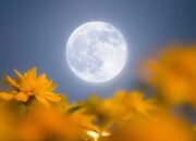 fenomena astronomi mei 2026: flower moon, hujan meteor, hingga blue moon