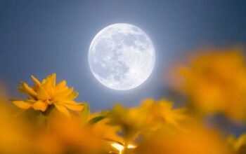 fenomena astronomi mei 2026: flower moon, hujan meteor, hingga blue moon