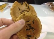 Jibachi senbei, kerupuk tawon khas jepang yang viral dan unik jibachi senbei, kerupuk tawon khas jepang yang viral dan unik