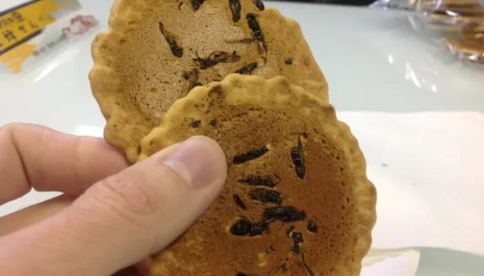 jibachi senbei, kerupuk tawon khas jepang yang viral dan unik