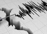 gempa m 4,8 guncang sigi, warga palu panik berhamburan keluar rumah