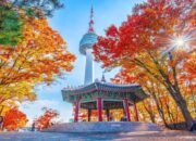 musim semi jadi favorit wisatawan indonesia ke korea selatan, ini destinasi populernya