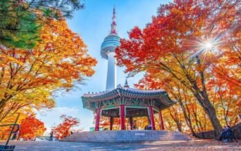 musim semi jadi favorit wisatawan indonesia ke korea selatan, ini destinasi populernya