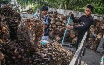 Moody’s dan s&p warning skema ekspor satu pintu prabowo bisa tekan ekonomi ri moody’s dan s&p warning skema ekspor satu pintu prabowo bisa tekan ekonomi ri