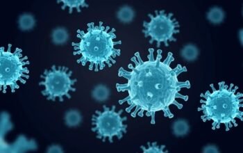 wabah hantavirus di kapal mv hondius, spanyol siap terima evakuasi di canary