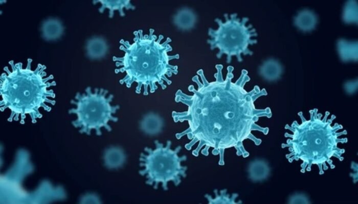 wabah hantavirus di kapal mv hondius, spanyol siap terima evakuasi di canary