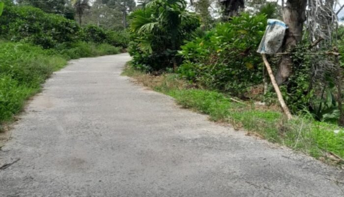 viral video dana desa rp228 juta, kades juma teguh dairi tegaskan semua sesuai prosedur
