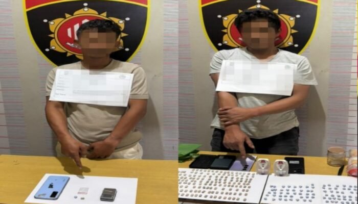 bandar narkoba di toba ditangkap, 243 pil ekstasi disembunyikan di kandang babi