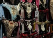 lingerie berhias tikus awetan viral, butik australia tuai sorotan publik