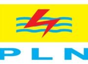 pemuda peduli energi sumatera apresiasi gerak cepat pln atasi gangguan listrik di sumut