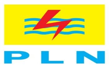 pemuda peduli energi sumatera apresiasi gerak cepat pln atasi gangguan listrik di sumut