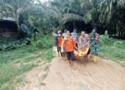 longsor batang toru telan dua nyawa, korban terakhir ditemukan tertimbun material
