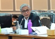 anggota komisi xiii dpr ri, mafirion, menyoroti dugaan kekerasan seksual yang dilakukan oknum pengasuh pondok pesantren di pati, jawa tengah, terhadap puluhan santriwati. ia menilai kasus tersebut merupakan pelanggaran hak asasi manusia (ham) yang serius, karena terjadi berulang dan melibatkan relasi kuasa yang tidak seimbang.