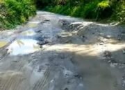 surga tersembunyi di simalungun terabaikan, akses ke kawah putih tinggi raja memprihatinkan