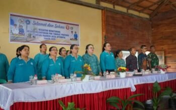 tp pkk taput monitoring desa percontohan paaredi di desa sitompul