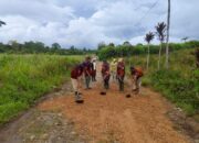 pac pp sumbul gotong royong timbun jalan rusak demi petani dairi