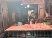 harga ayam di pasar dwikora naik lagi, pedagang sebut pasokan terserap program mbg