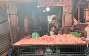 harga ayam di pasar dwikora naik lagi, pedagang sebut pasokan terserap program mbg