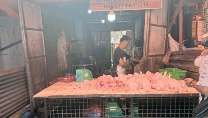 harga ayam di pasar dwikora naik lagi, pedagang sebut pasokan terserap program mbg