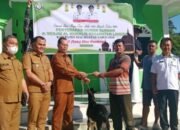 pemkab nias selatan salurkan hewan kurban idul adha 1447 h ke sejumlah masjid