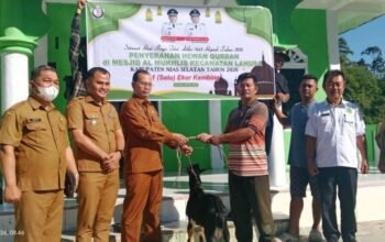 pemkab nias selatan salurkan hewan kurban idul adha 1447 h ke sejumlah masjid