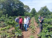 petani kopi taput dapat rumah produksi dan dukungan pemasaran dari pemprov sumut