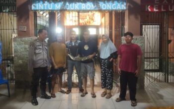 Heboh di siantar martoba! Buaya muara tiba-tiba muncul di jalan warga heboh di siantar martoba! buaya muara tiba-tiba muncul di jalan warga