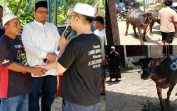 awaluddin pane kembali berbagi di nias, sembelih 3 kerbau dan 2 kambing