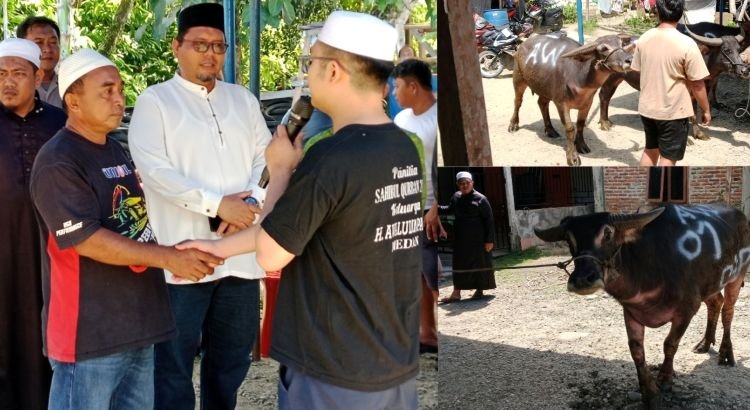 awaluddin pane kembali berbagi di nias, sembelih 3 kerbau dan 2 kambing