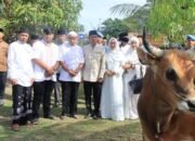 polda aceh bagikan 46 hewan kurban untuk warga dan pesantren di iduladha 1447 h