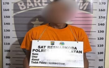 hendak transaksi sabu di pinggir jalan, pria di nias selatan ditangkap polisi