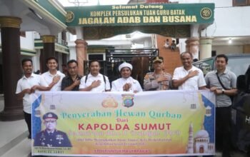 kapolda sumut serahkan sapi kurban 600 kg ke persulukan babussalam simalungun