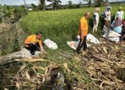 polsek tanah jawa turun ke ladang dukung panen raya jagung serentak kuartal ii 2026
