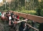 film dokumenter ‘pesta babi’ picu polemik, sutradara sebut papua masih mengalami kolonialisme