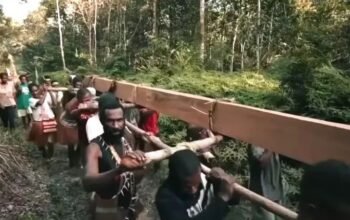 film dokumenter ‘pesta babi’ picu polemik, sutradara sebut papua masih mengalami kolonialisme