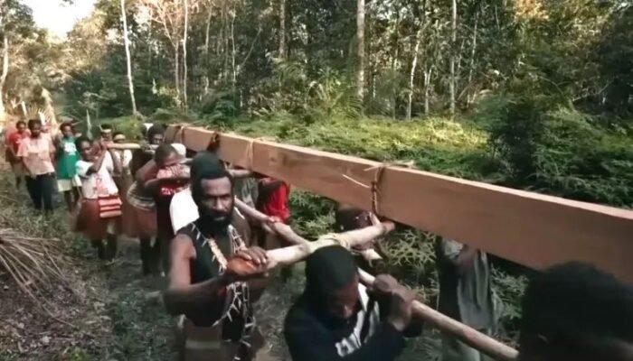 film dokumenter ‘pesta babi’ picu polemik, sutradara sebut papua masih mengalami kolonialisme
